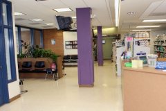 11b4d1f37dd7c5b619495c690926d1ac