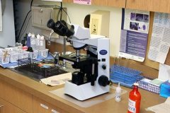 1a3067e049233a08de594b85001ccbcc