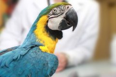 34896f81394846cfa0886d2e1949f0a3